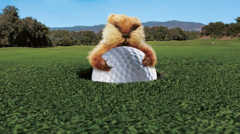 The Gopher