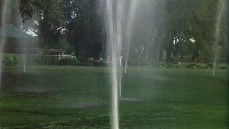 Watering the Greens